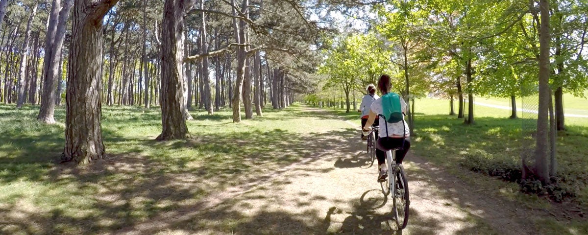 Two girls cycling on pathway in the Phoenix Park with trees either side