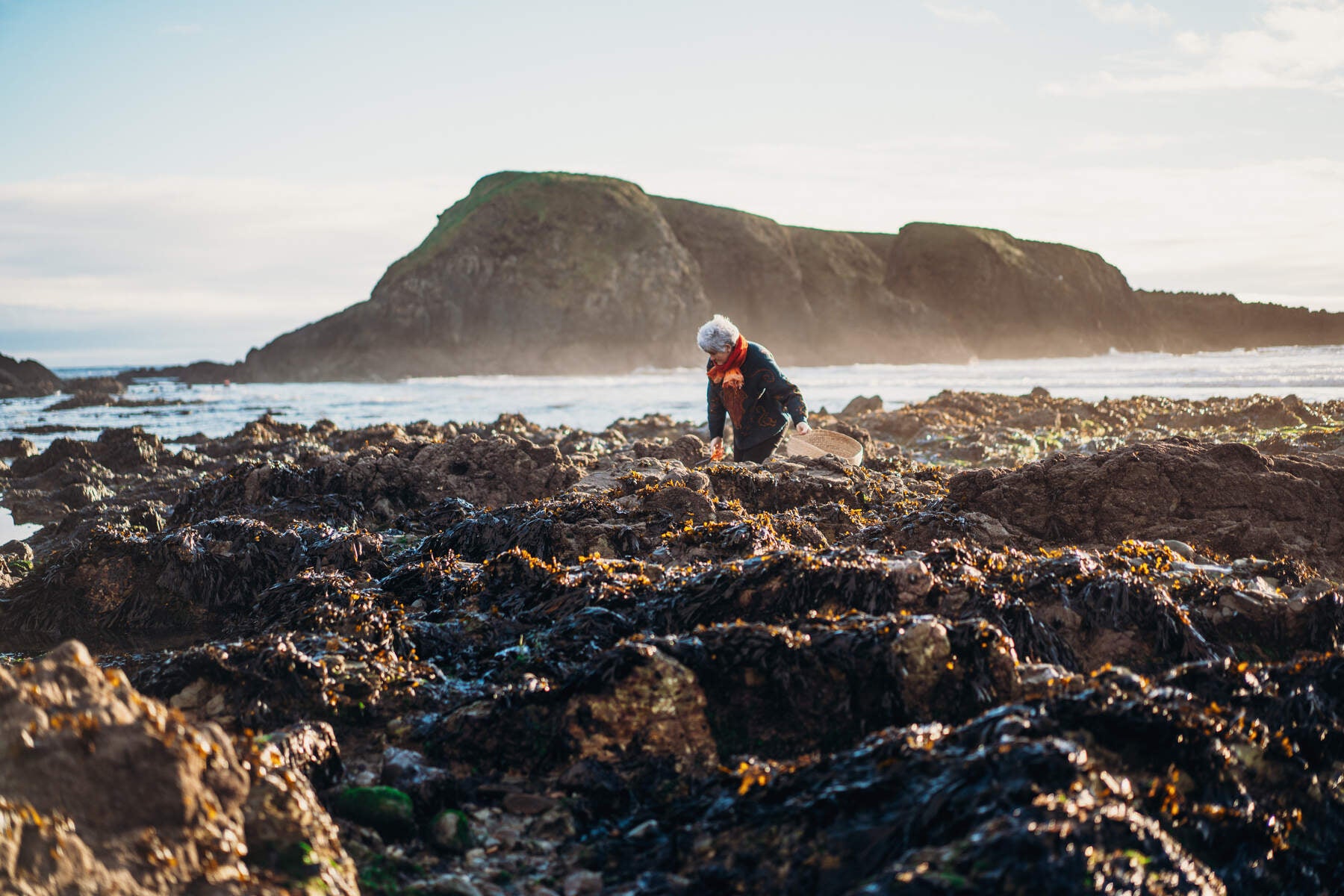 Walk the rocky Waterford shoreline and forage for fresh seaweed.