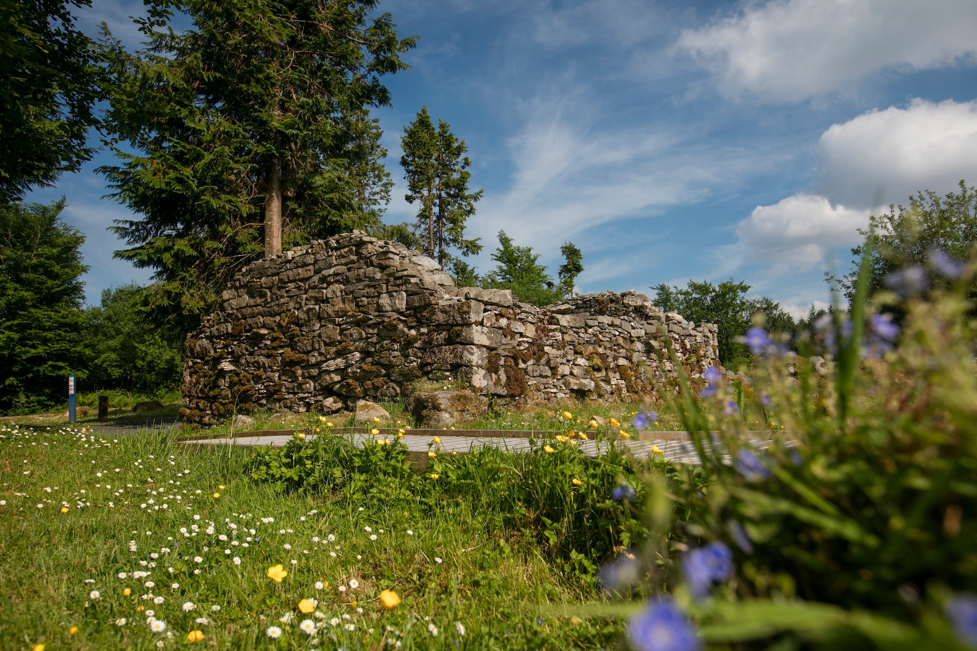 Ruins in Cavan Burren Park