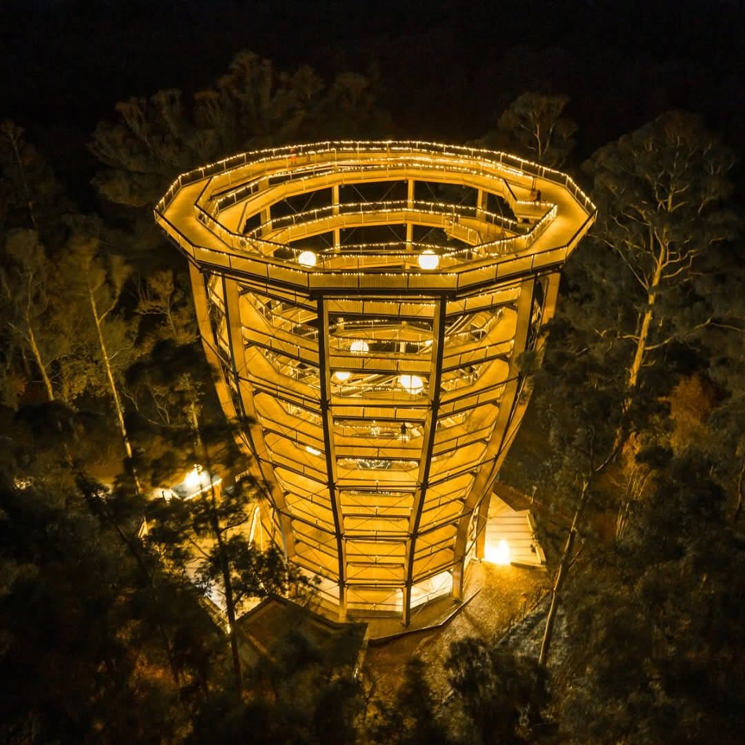The award winning Treetop Night Lights is a captiating nocturnal adventure that unfolds among the majestic trees of Avondale Forest Park.