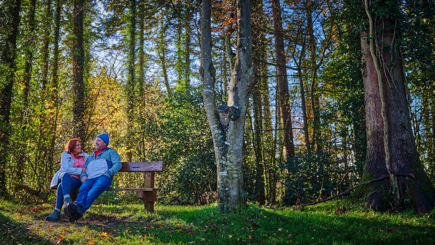 People in Killykeen Forest Park in Co Cavan