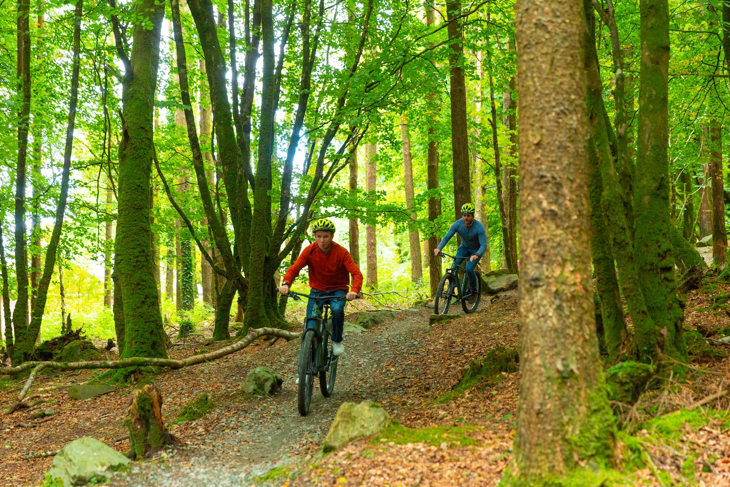 People cycling the Ballyhoura Mountain Bike Trails in County Limerick