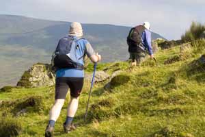 The South Leinster Way         