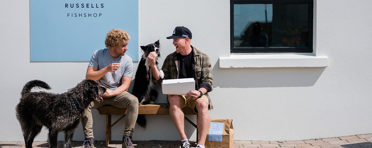 Two men and their dogs enjoying a bite to eat outside a fish shop
