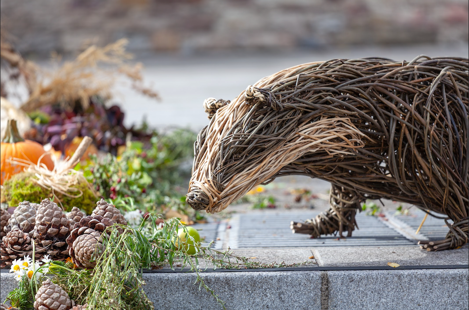 A giant woven willow badger surrounded by flowers and greenery at Clonmel Applefest, reflecting the festival’s playful connection with art, nature and the outdoors.
