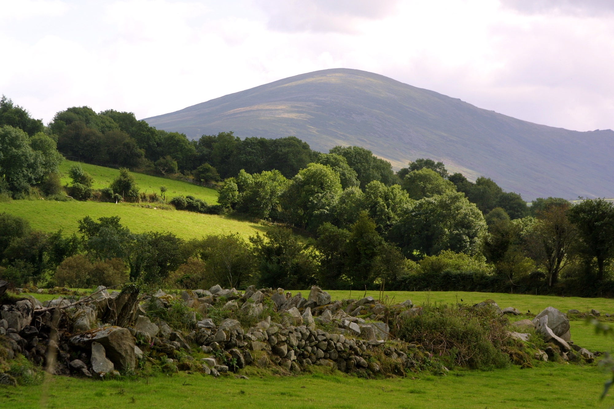 Mount Leinster in Co Carlow