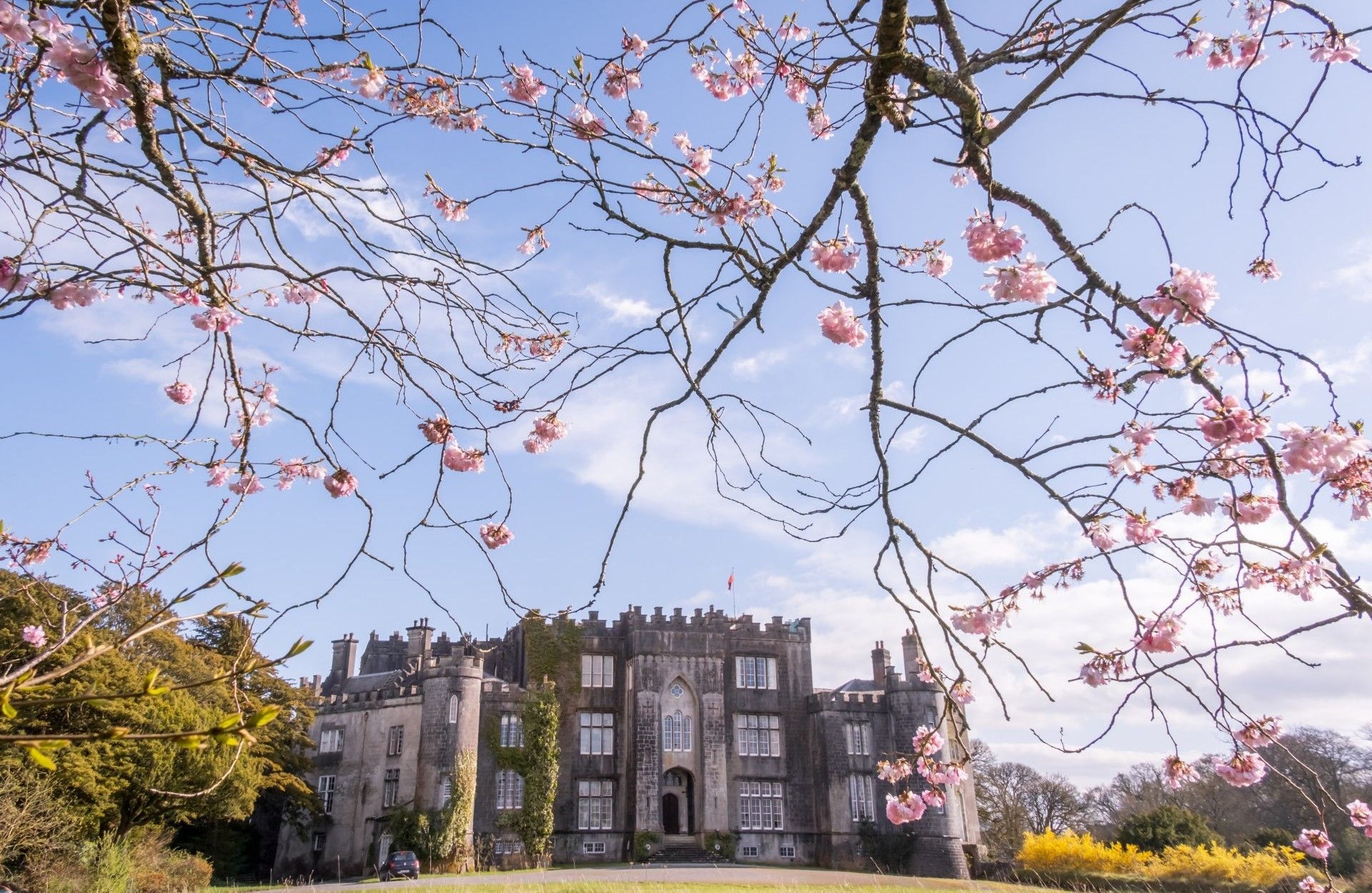 A castle with lots of windows under a pale blue sky