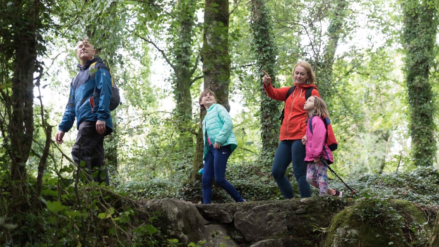 Family walking through Cratloe Woods in Clare