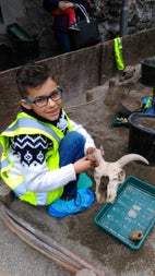 The Big Dig: A Viking Adventure for Kids