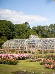 A view of the glasshouses and rose garden at Ardgillan Castle and Gardens