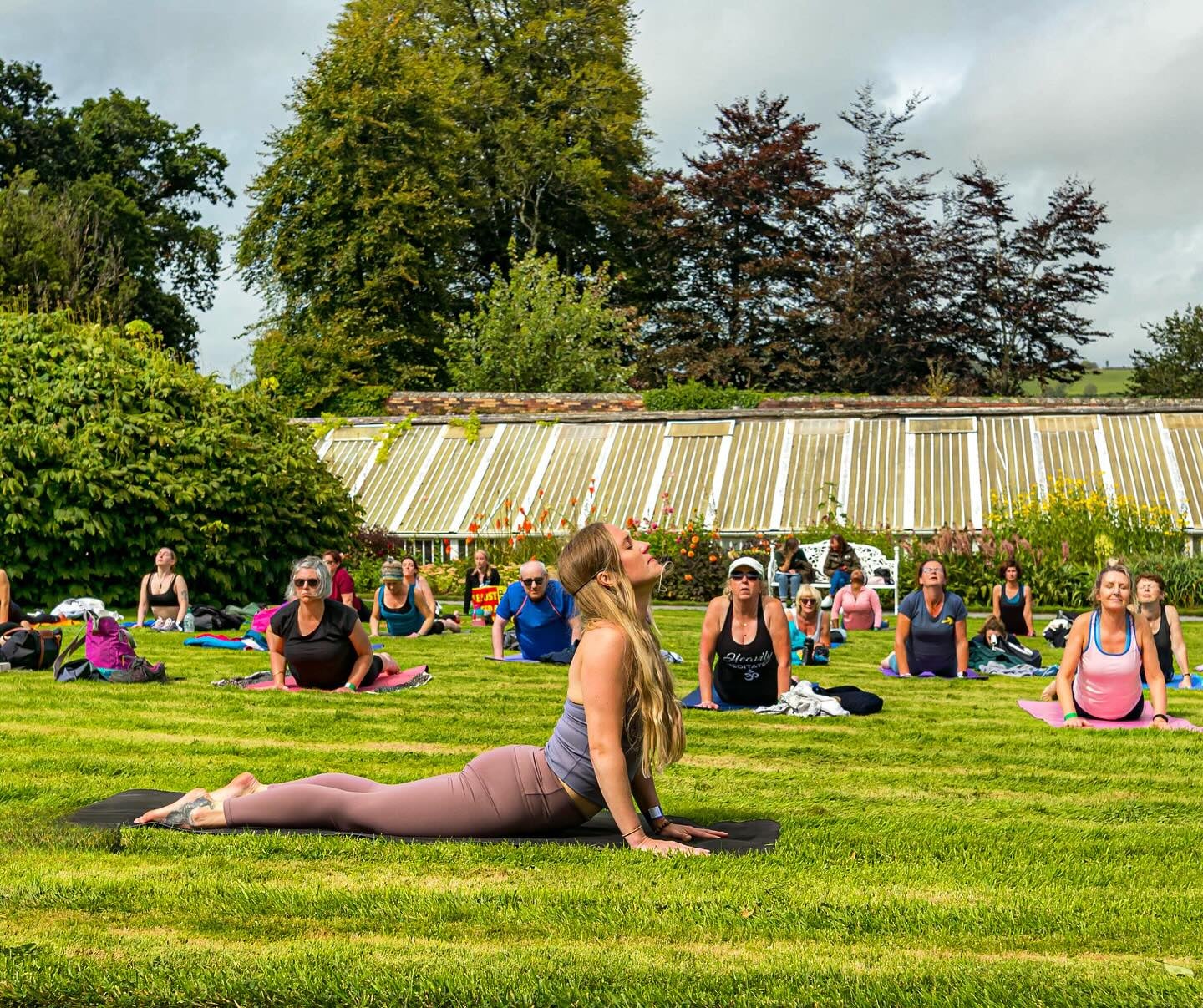 People spread out across a lawn on yoga mats in a yoga pose with long green house in the background.