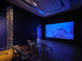 Fisherwoman, Fisherwoman, IMMA, Photo Ros Kavanagh