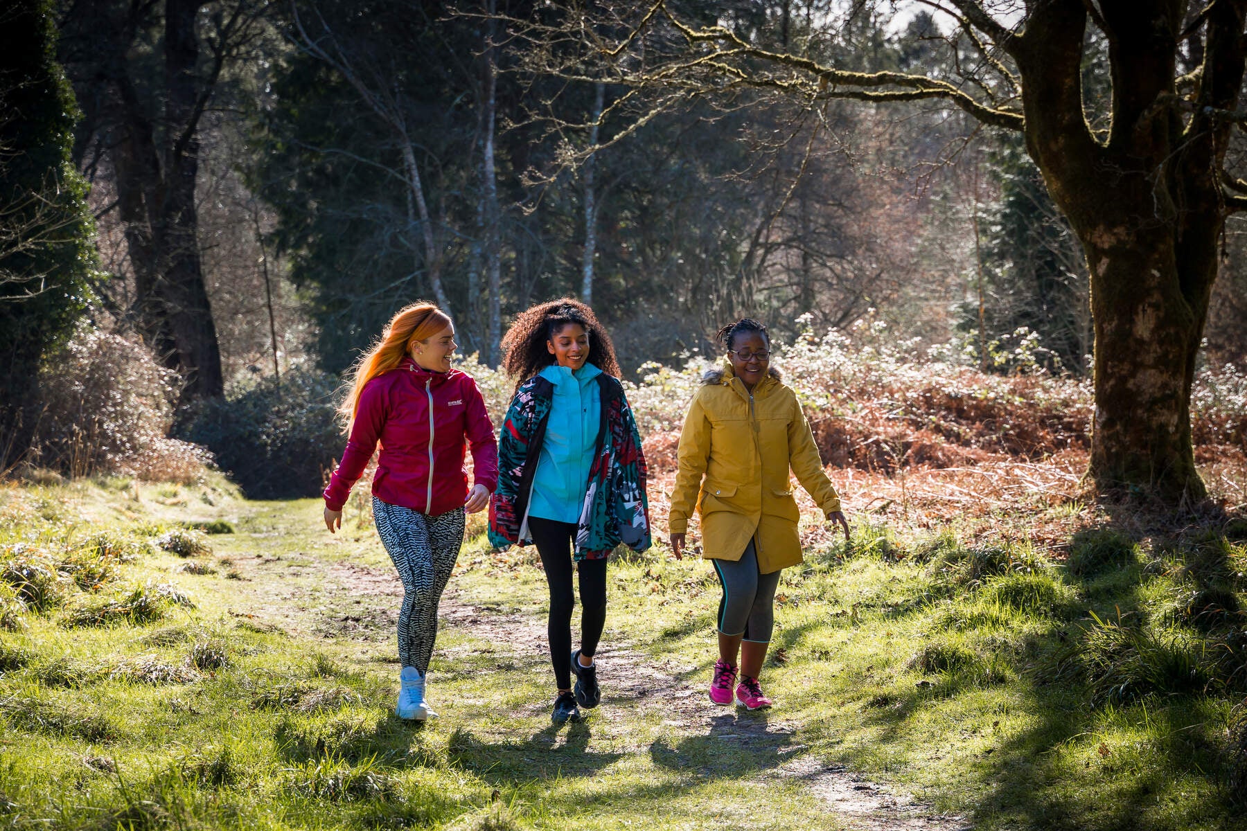People in Portumna Forest Park in Co Galway
