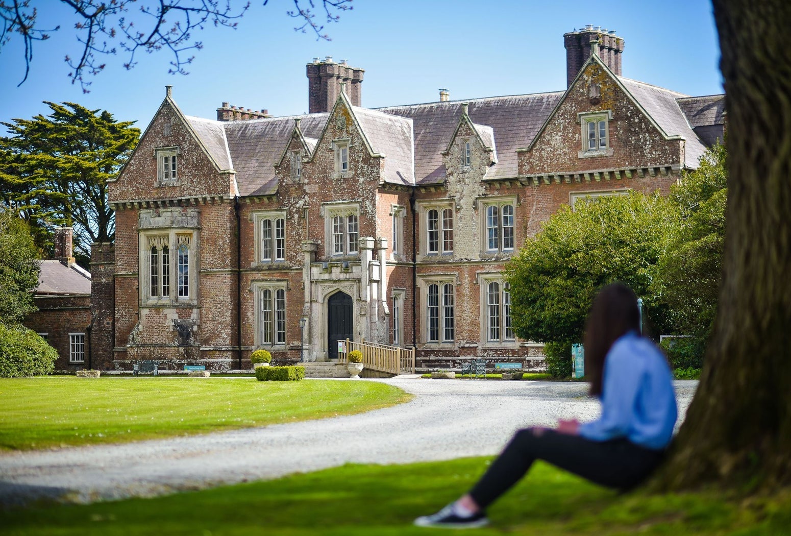 A person sitting under a tree looking at a stately house
