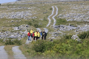 Walking in the Burren