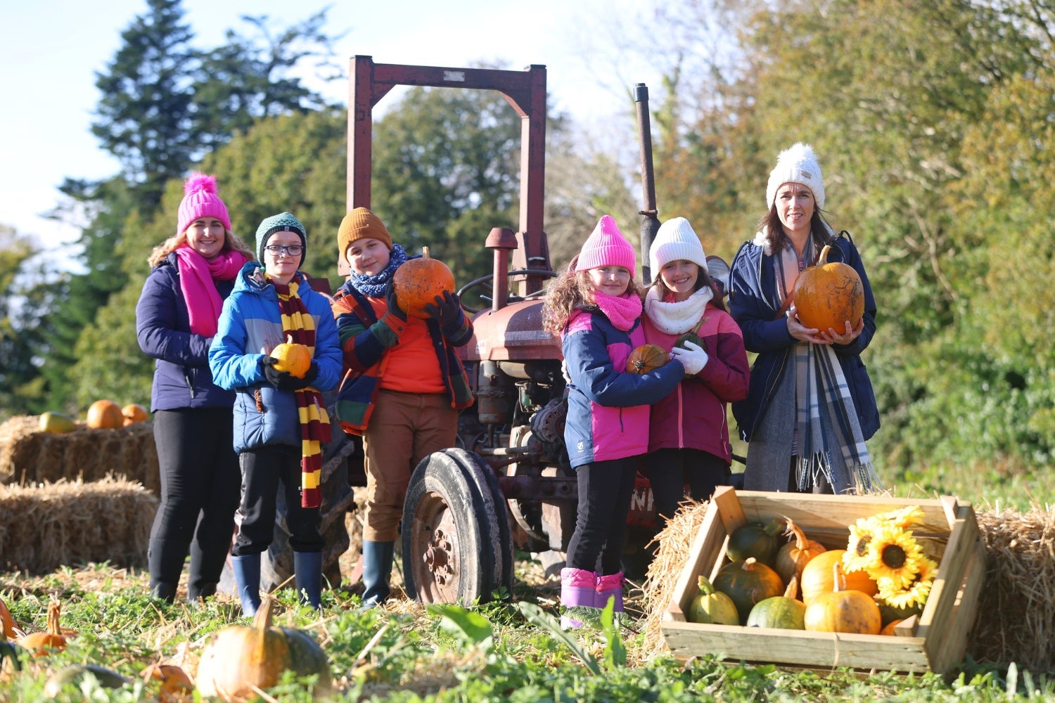 Family enjoying pumpkin patch fun at Wells House & Gardens, choosing pumpkins beside a vintage tractor during the Halloween experience