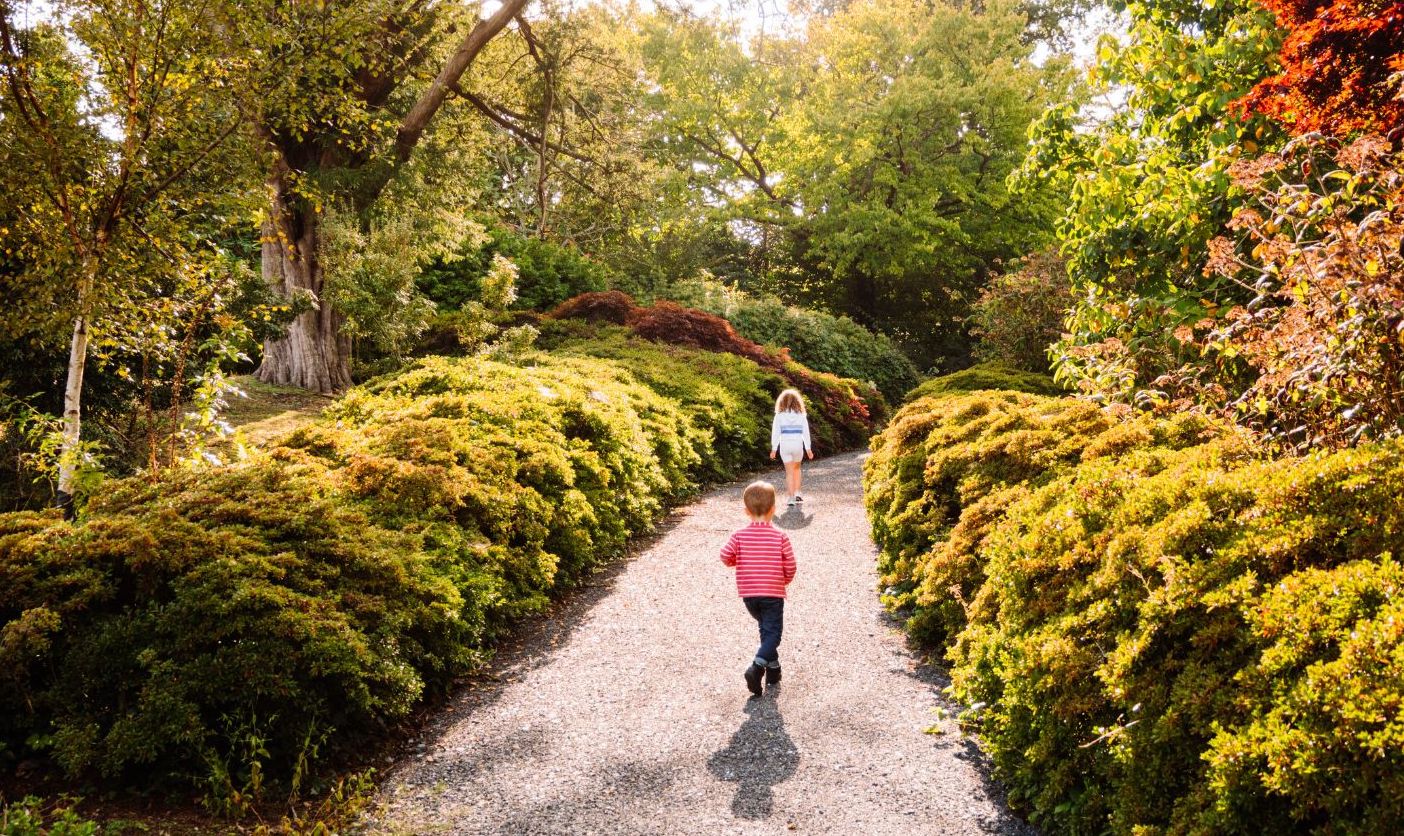 Kids walking on a garden path.