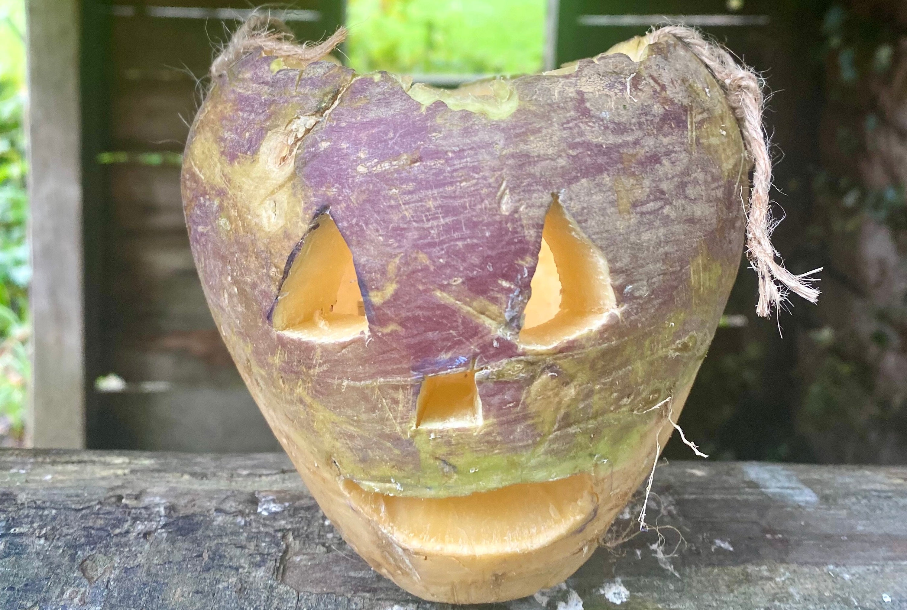 Traditional Halloween carved turnips rather than pumpkins