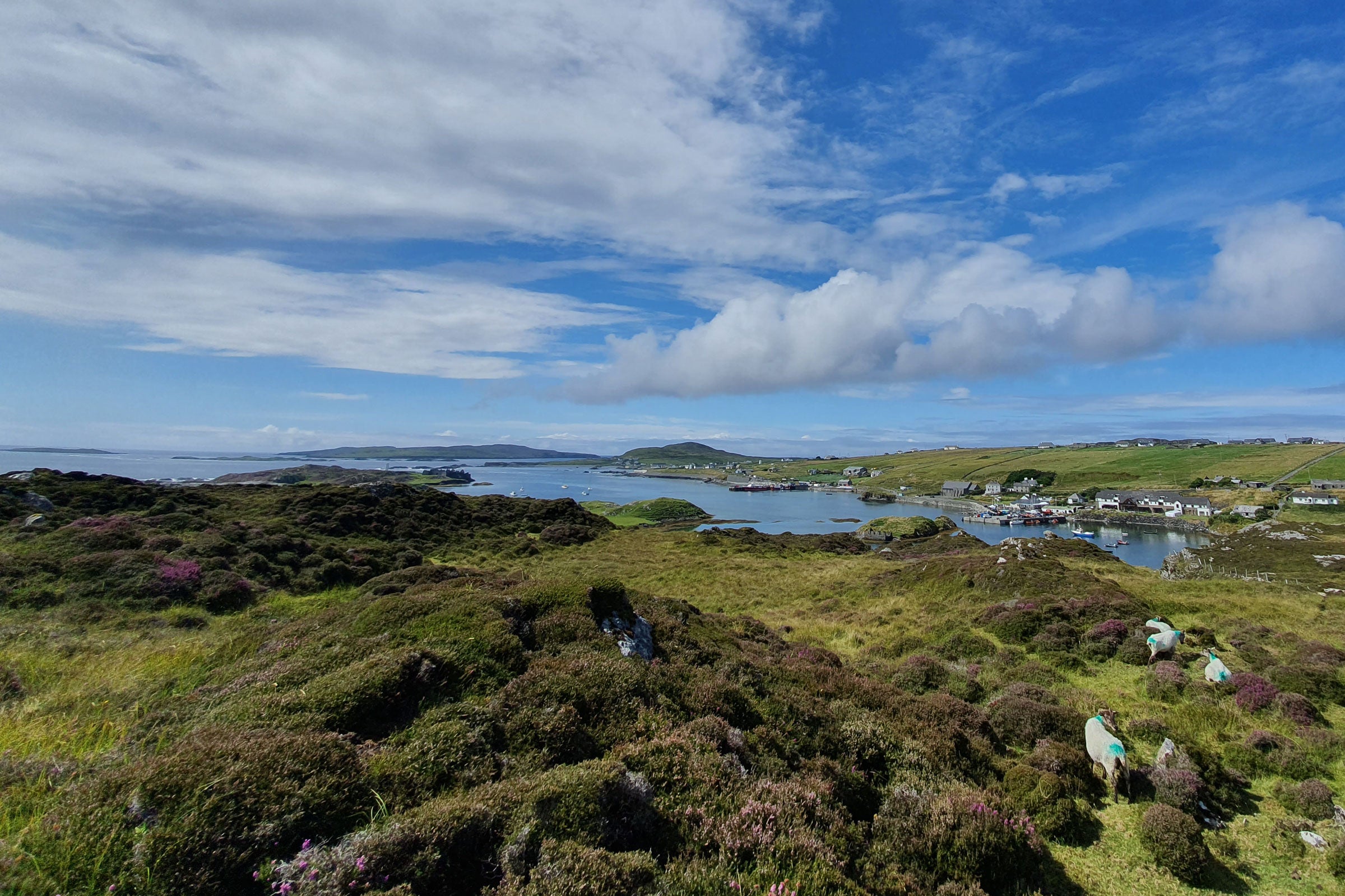 Inishbofin, Knock Hill, County Galway
