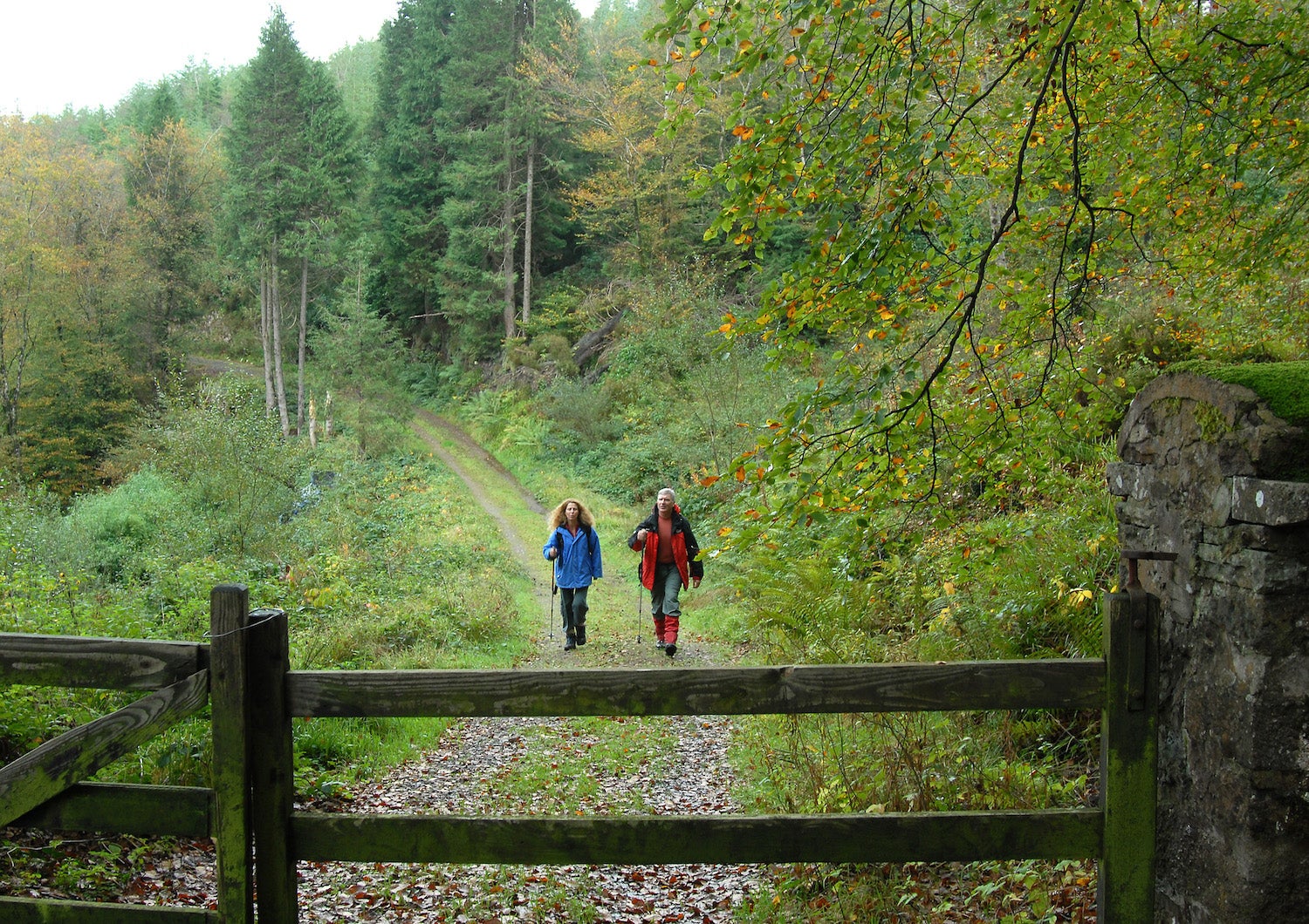 Hikers on the Attychraan Loop in Co Limerick