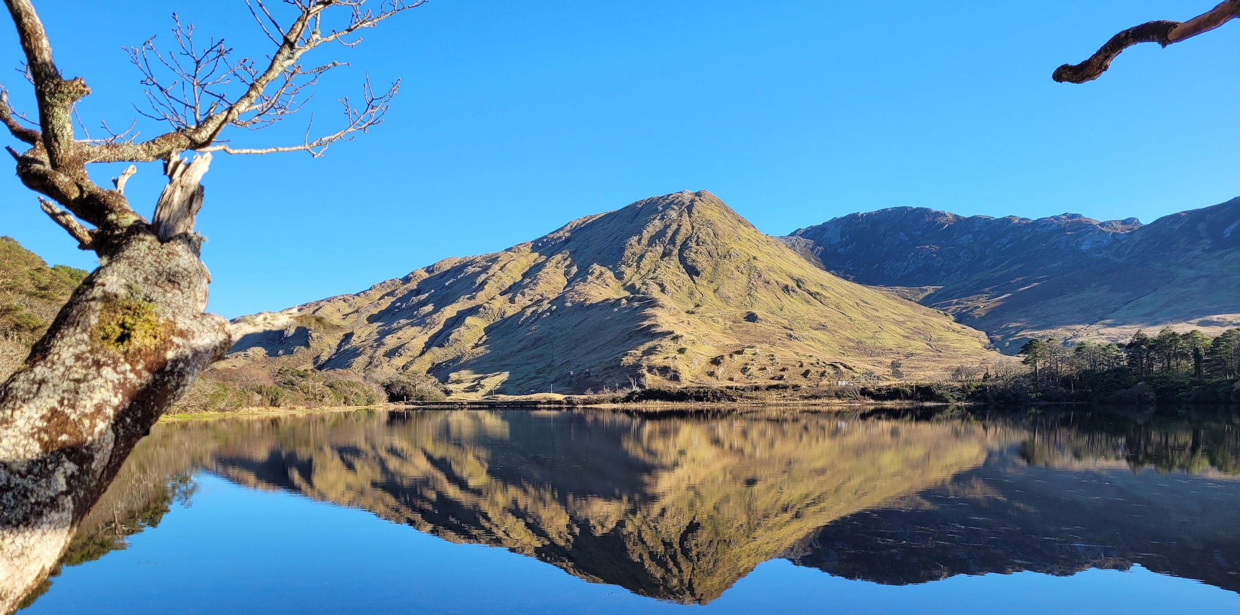Admire beautiful Kylemore Valley in Connemara National Park.