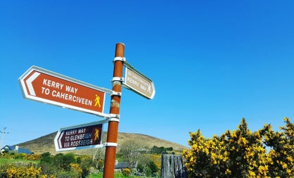 Signpost pointing towards different walking trails