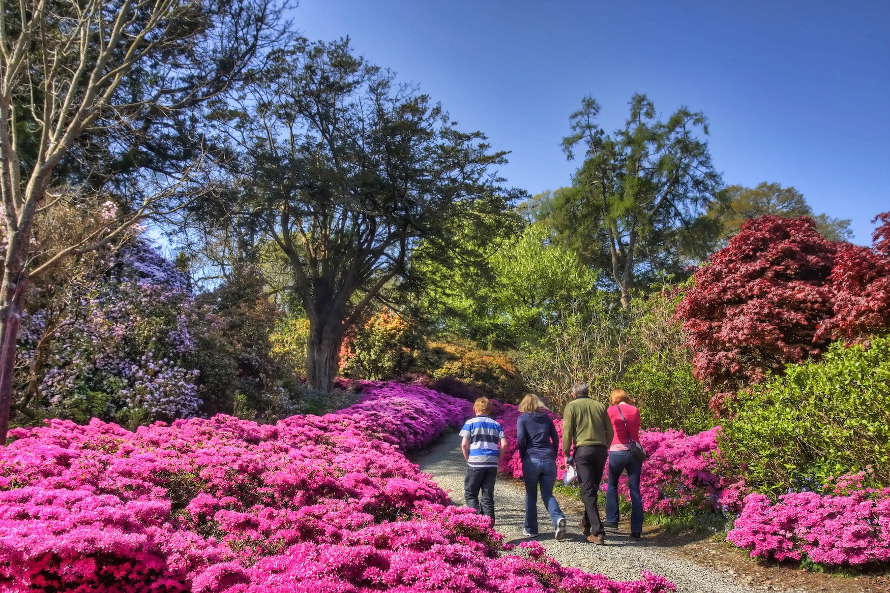 People walking through Mount Congreve Gardens in County Waterford