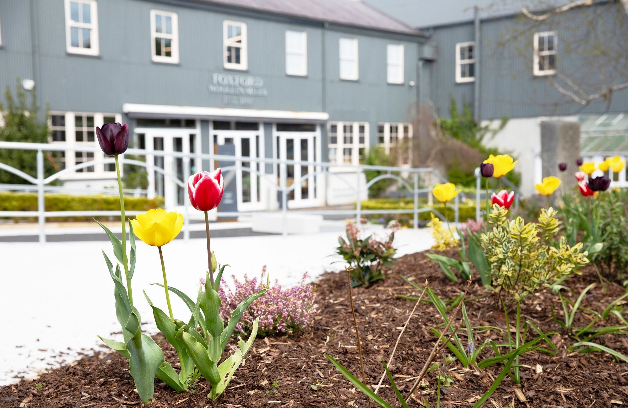 An image of the front of Foxford Café