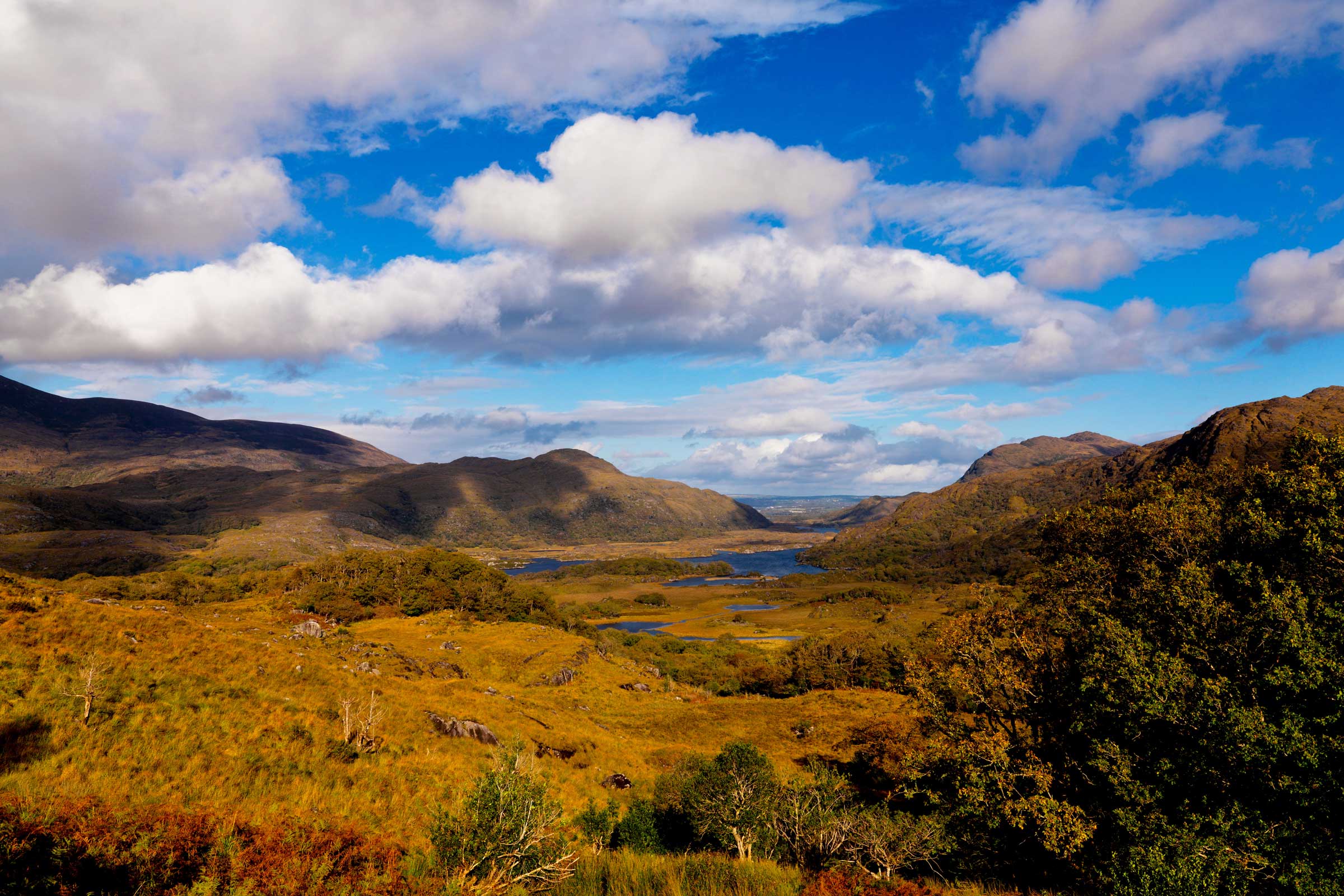 View of Killarney Lakes from Ladies View, County Kerry