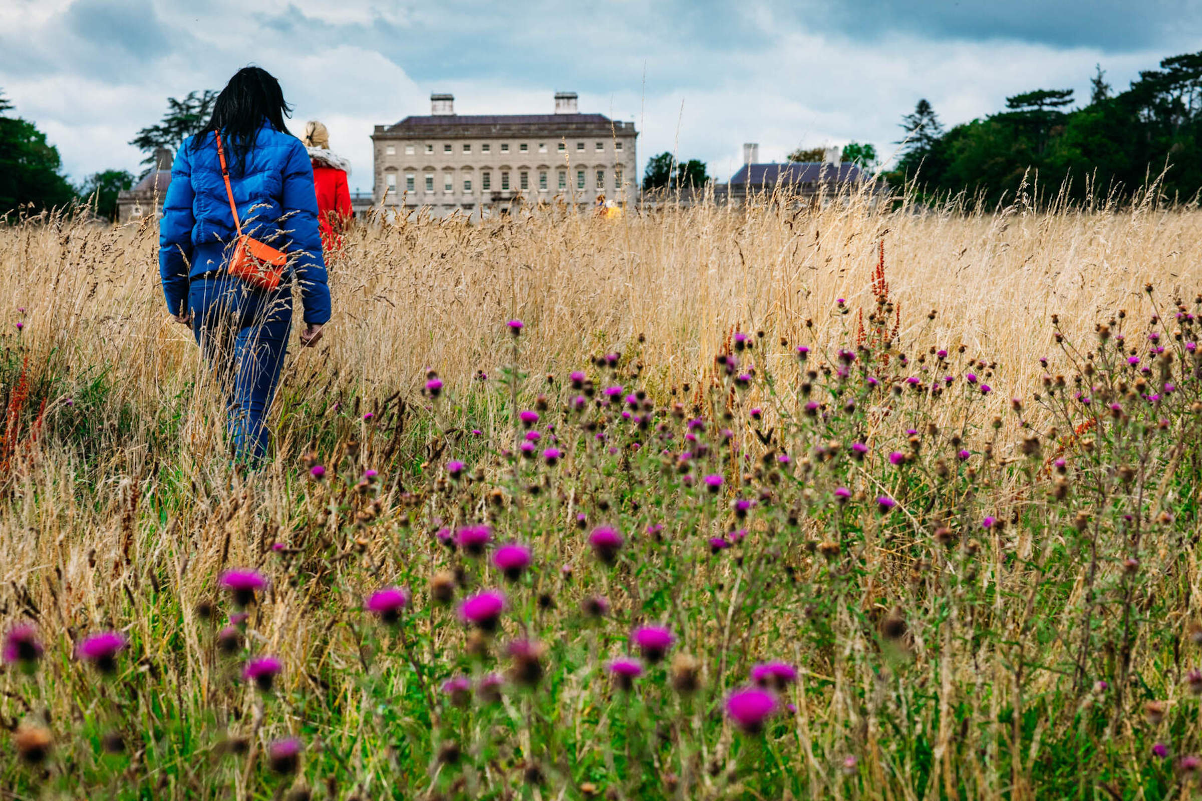 People walking through the field at Castletown House in Kildare.