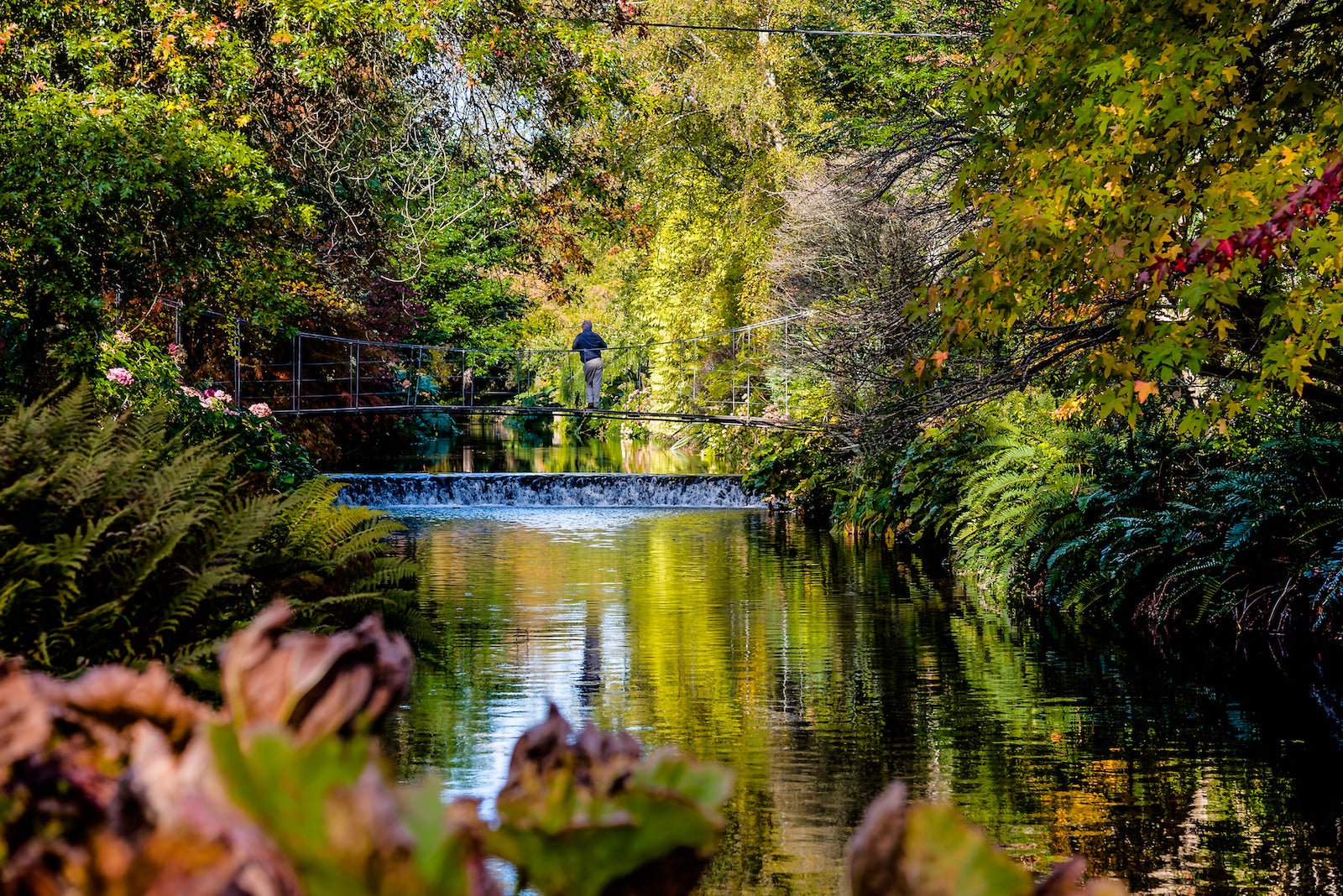 A person standing on a foot bridge over a river at Mount Usher Gardens in County Wickow.