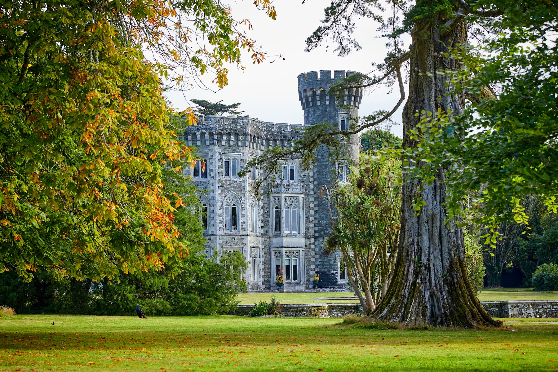 Johnstown Castle Estate through the trees.
