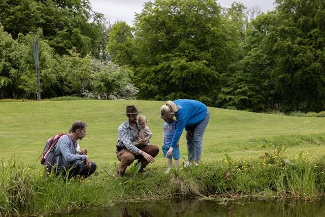 Children and adults examining a pond edge at Turlough Park