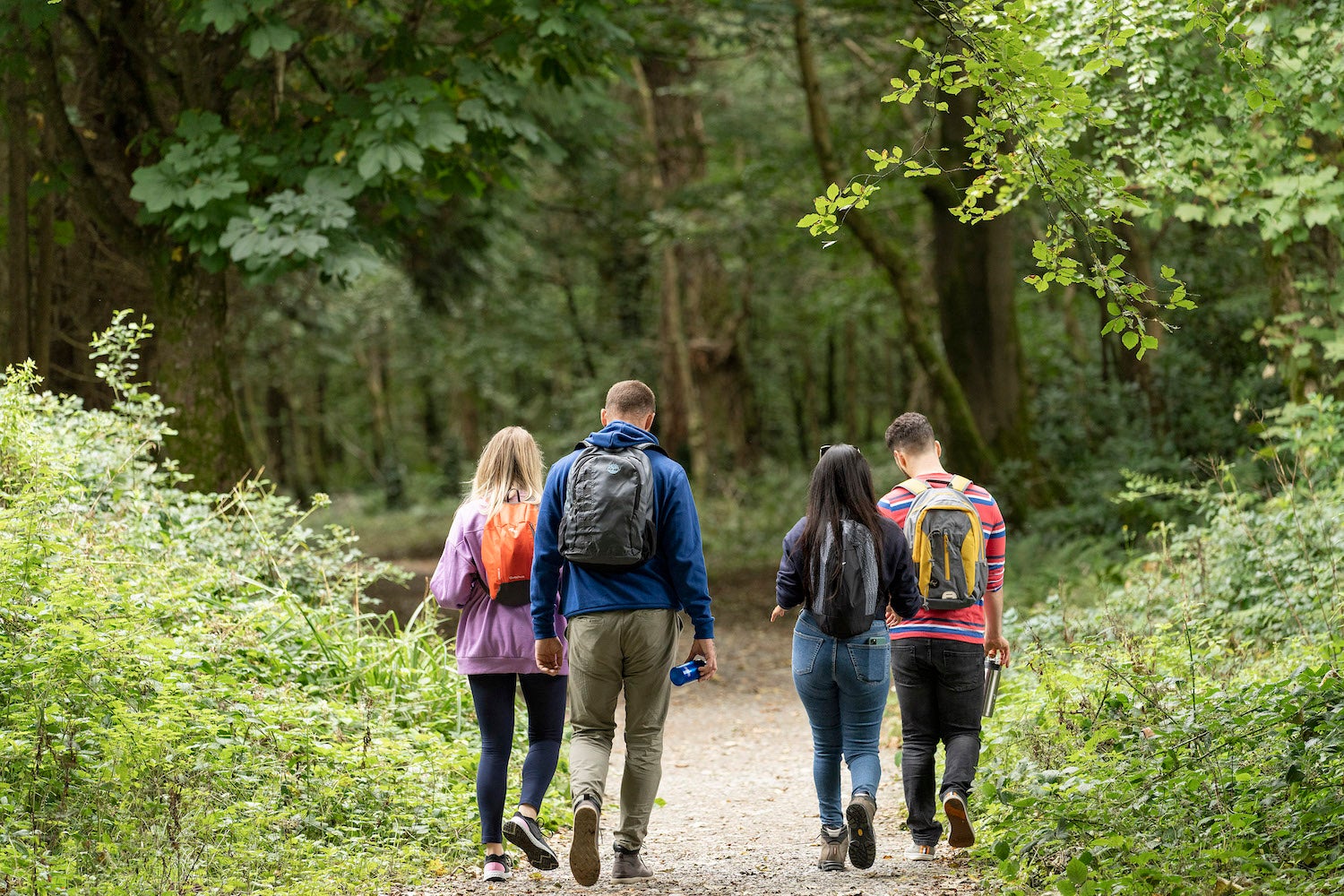 People walking in Kilrush Forest in Co Clare