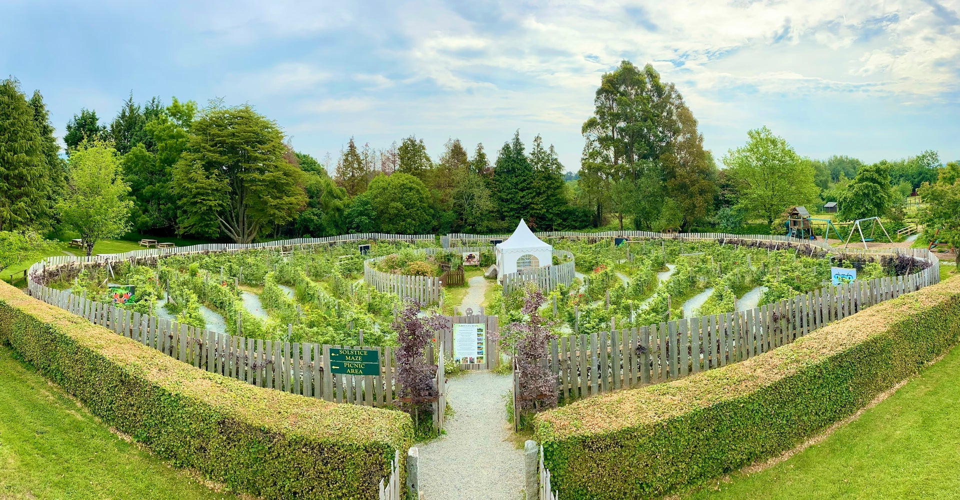 Views of the Celtic Maze made up of local broadleaf beech trees from Aughrim