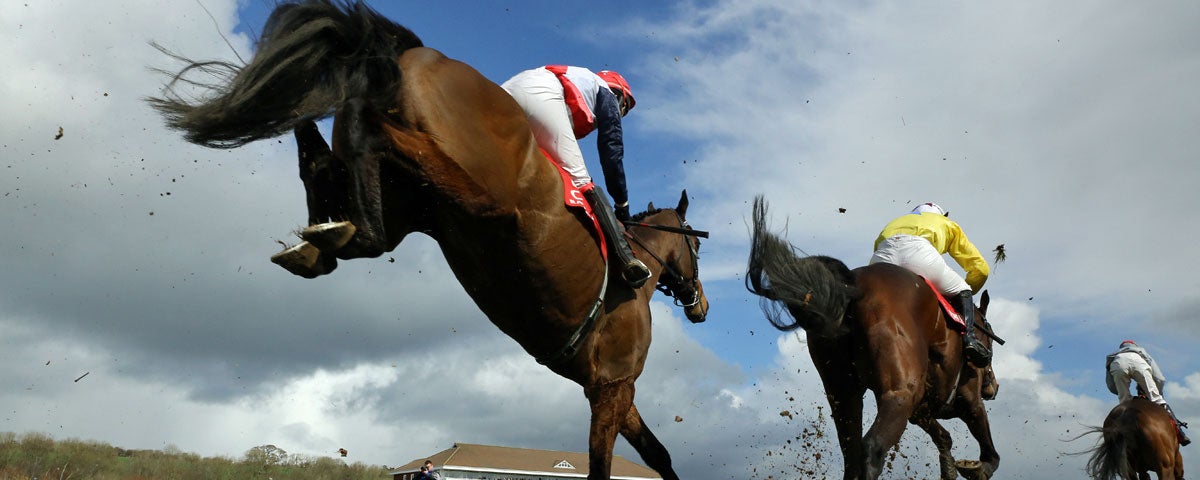A view from the ground up at horses running in a race at Cork Racecourse Mallow