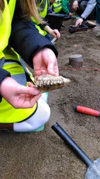 The Big Dig: A Viking Adventure for Kids