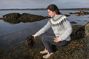 Mungo Murphy’s Seaweed Co.