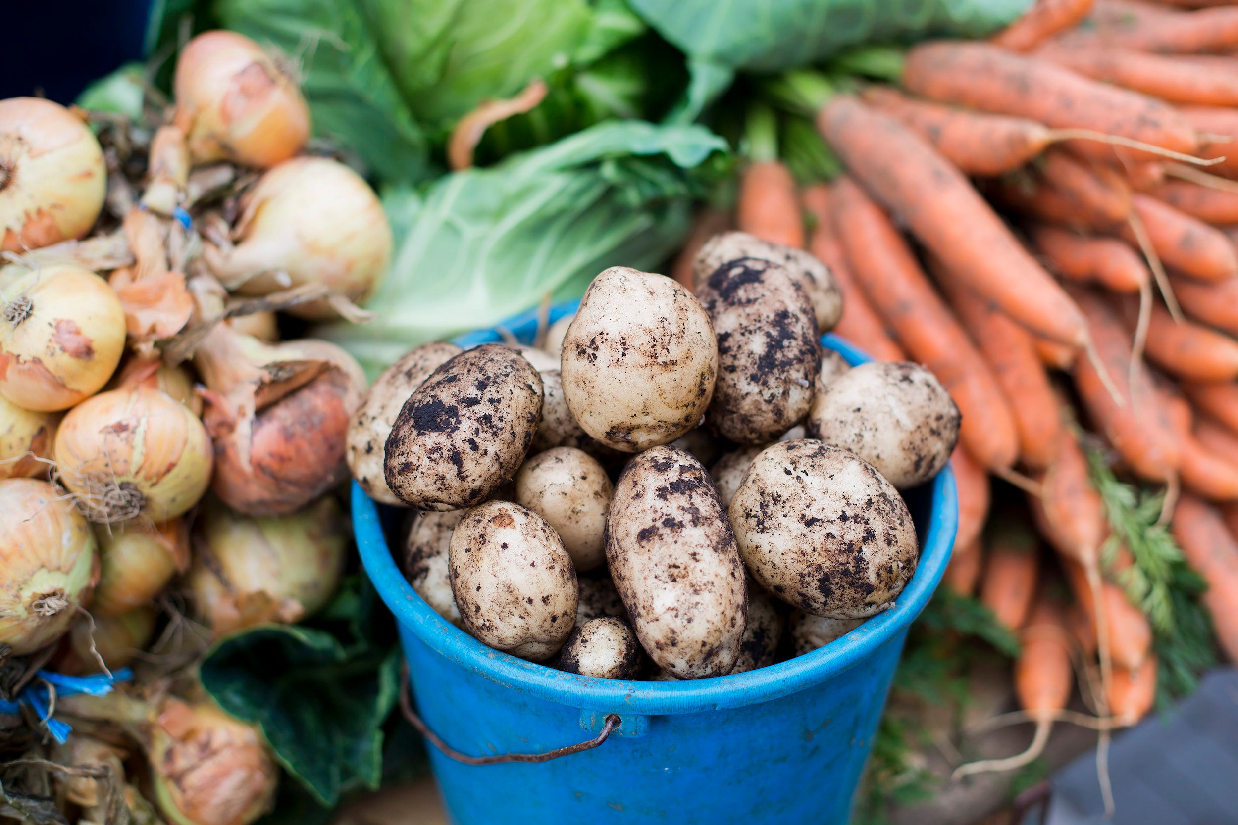 Fresh vegetables from a food market.