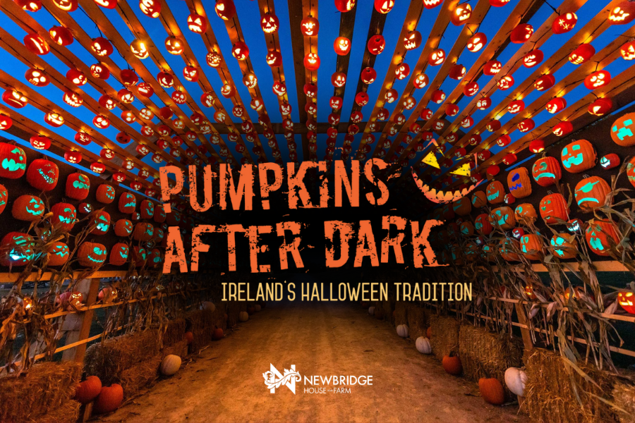 Pumpkins After Dark at Newbridge House