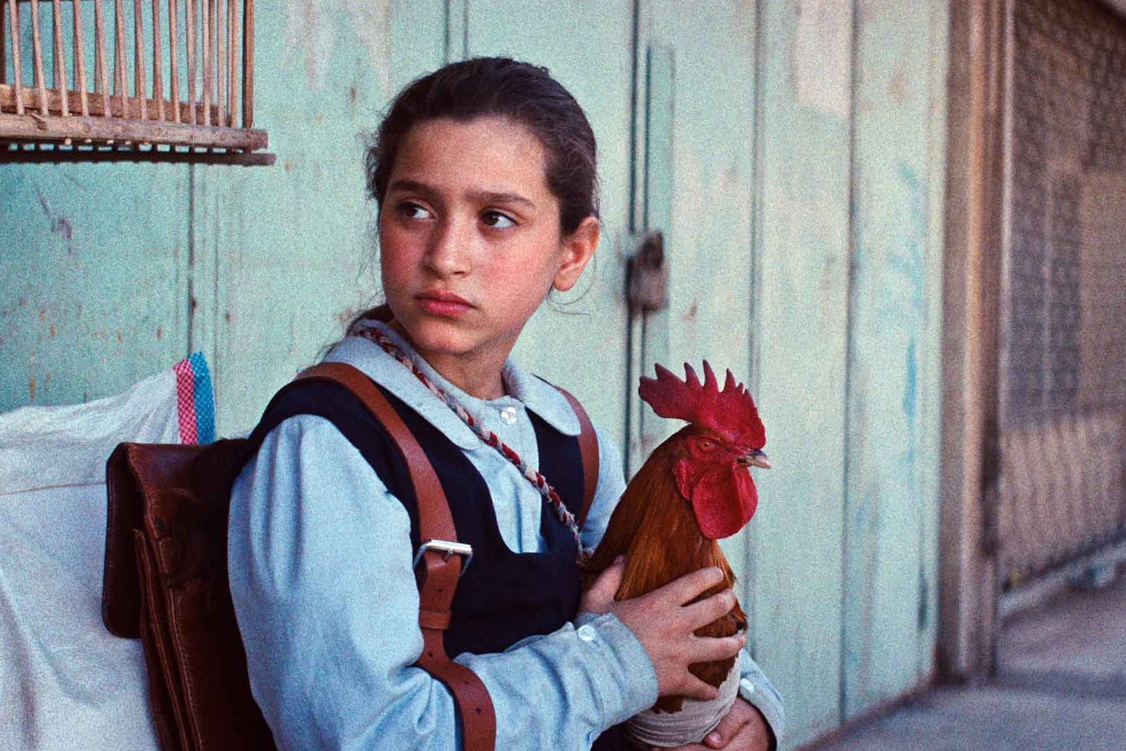 An anxious looking school girl is seated holding a chicken