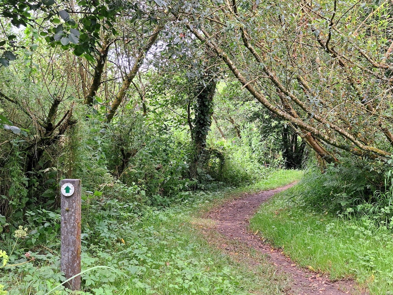 Nore Valley Walk in Co Kilkenny