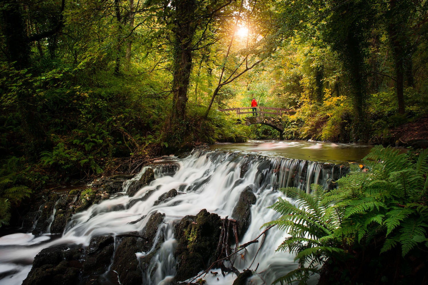 A person on Rabbit Bridge in Dún na Rí Forest Park in County Cavan