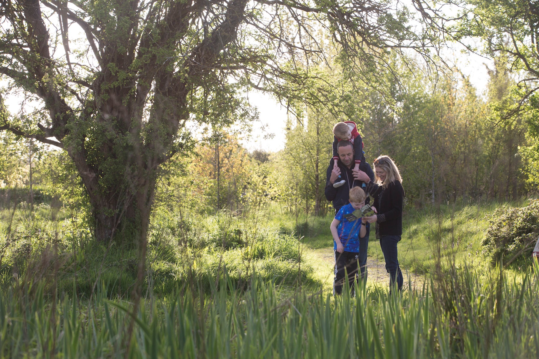 A family walking through Dún na Sí Amentity and Heritage Park in Westmeath.