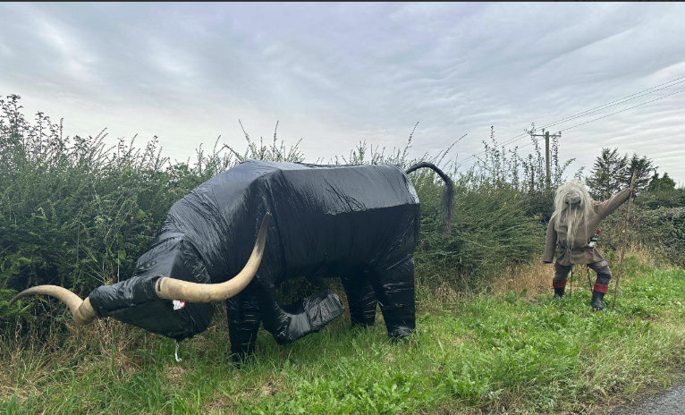 Very Creative Scarecrow at multyfarnham competition, bull on side of road