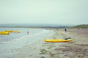 Ventry Blue Flag Beach                                      