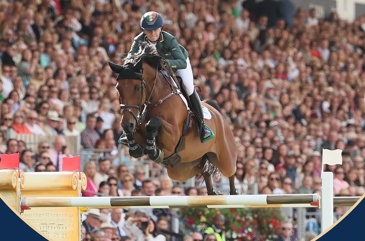 RDS Dublin Horse Show 2026 - a horse and rider in full flight over a jump with large full arena stand in the background.