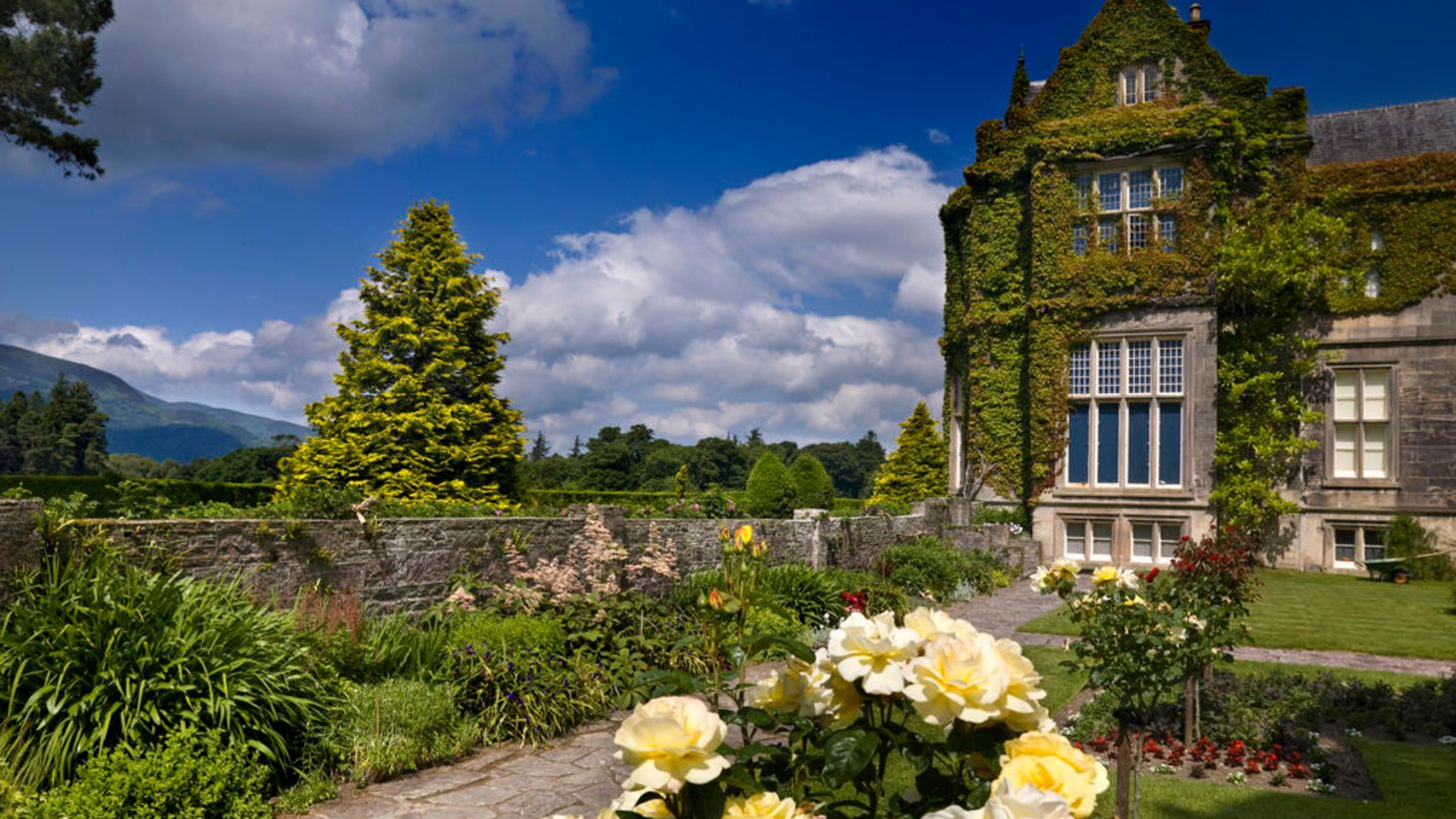 Flowers and greenery in the gardens at Muckross House