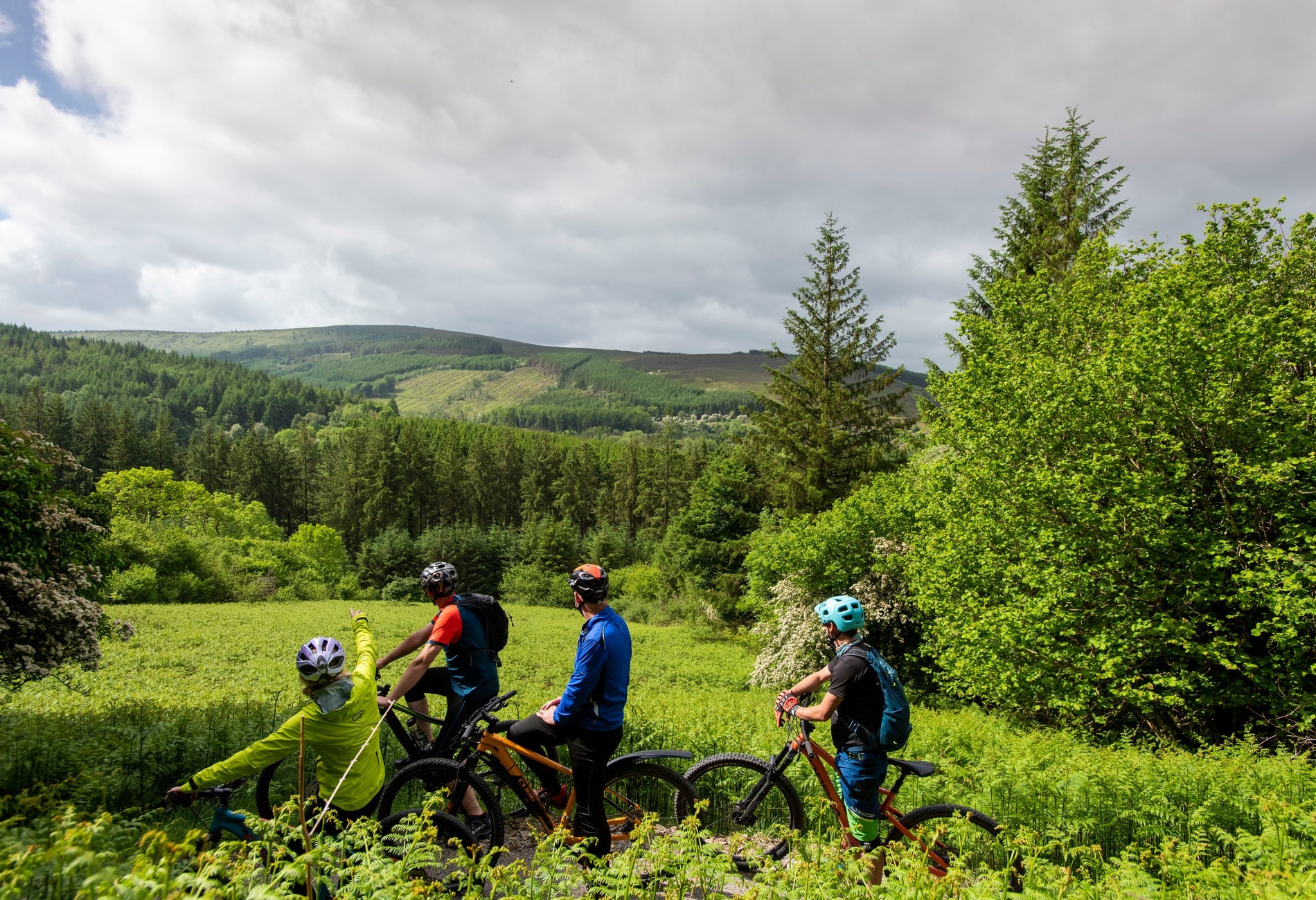 Three mountain bikers on a bike path surrounded by plants and trees