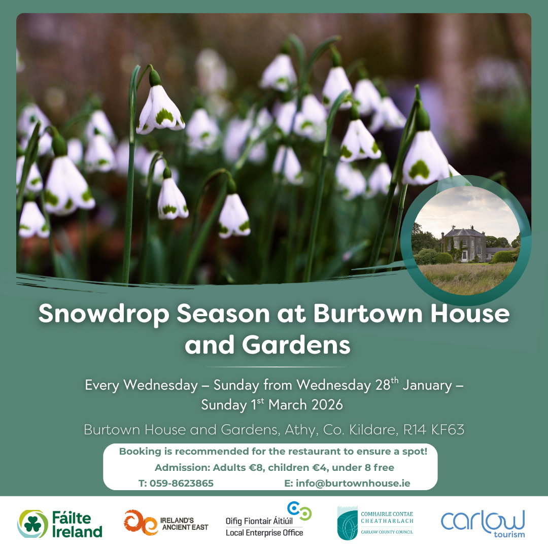 Poster for Snowdrops and Sculpture at Burtown House